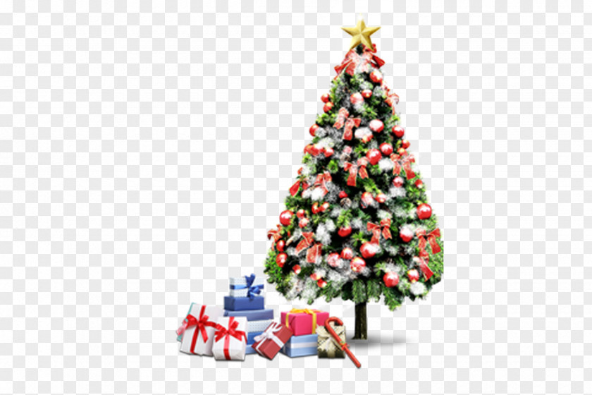 Christmas Tree Santa Claus Decoration Gift PNG