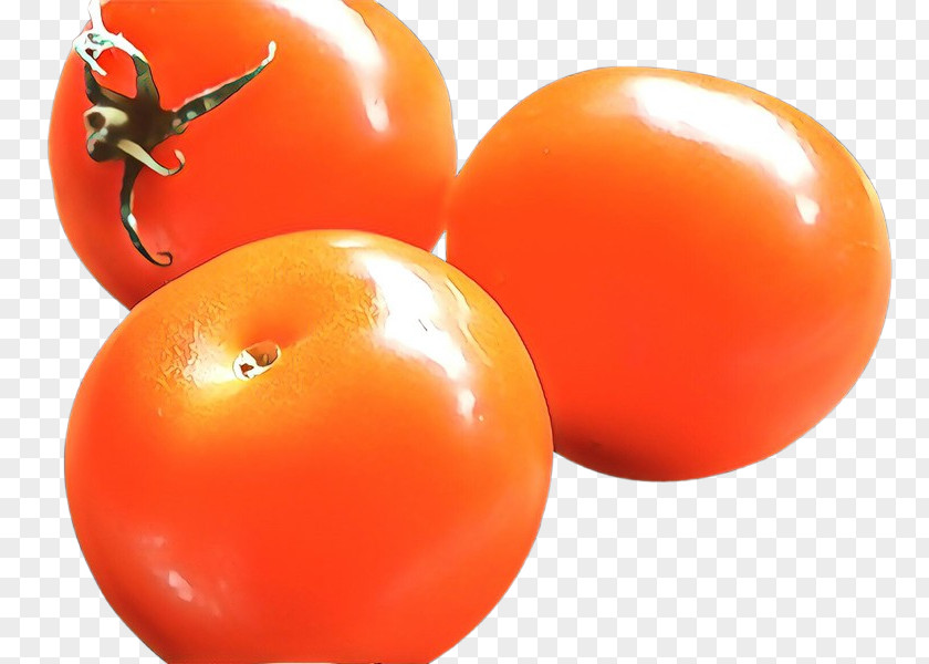 Nightshade Family Plant Orange PNG