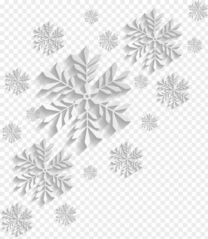 Resources Free Snowflake Schema Vector Graphics Image PNG
