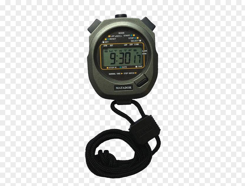 Stopwatch Athlete Sport Timer PNG