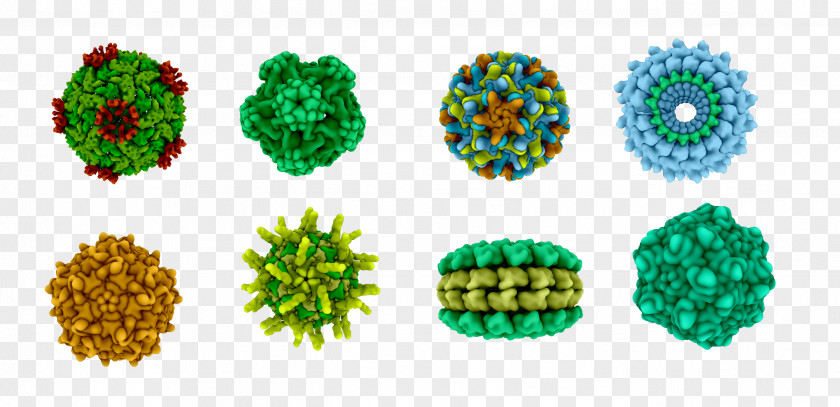 Virus Computer Pathogen X-ray Crystallography PNG