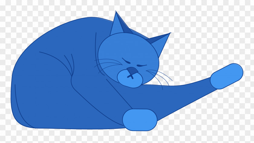 Cat Kitten Cat-like Small Whiskers PNG