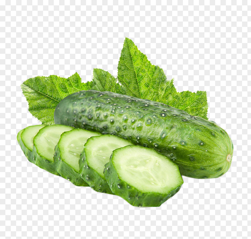Cucumber Pickled Vegetable Fresh Fud Layn Fruit PNG