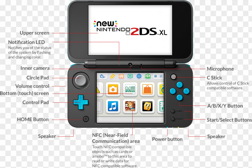 Everyone Wii Nintendo 3DS XL New 2DS PNG