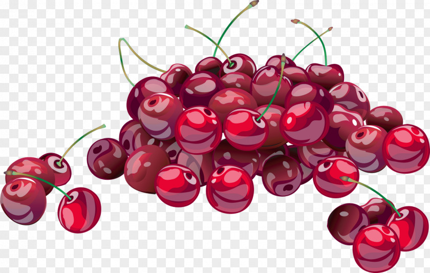 Fruits Sour Cherry Cherries Jubilee Fruit Strawberry PNG