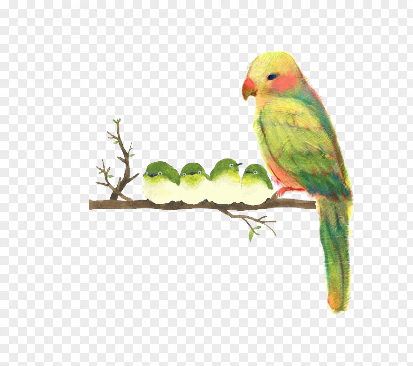 Parrot Bird Japan Watercolor Painting Drawing PNG