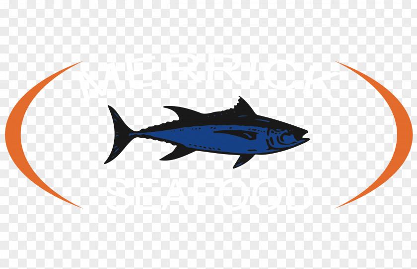Seafood Shark Fish Chondrichthyes Marine Mammal Clip Art PNG