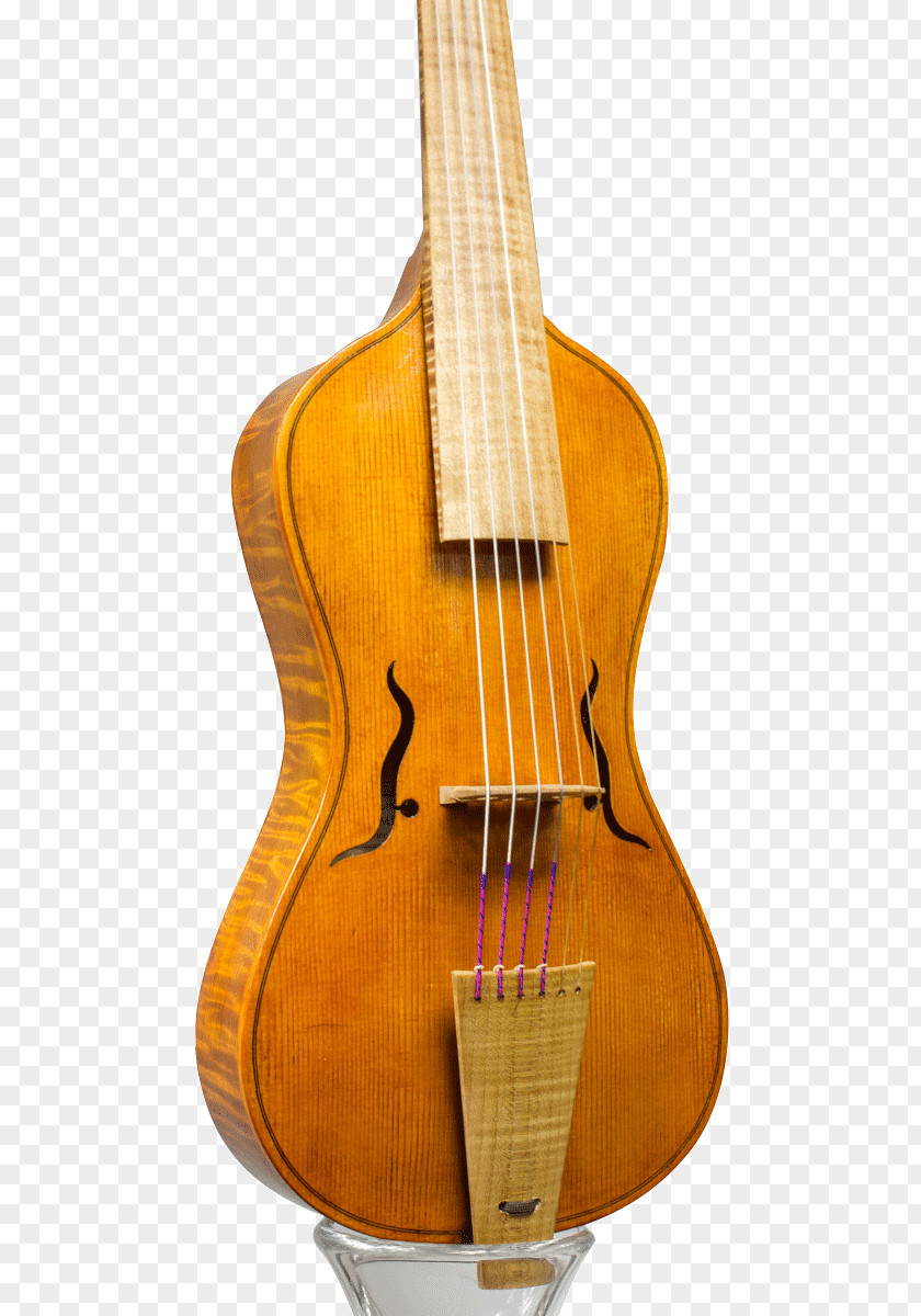 Bass Guitar Violin Violone Viola Acoustic PNG