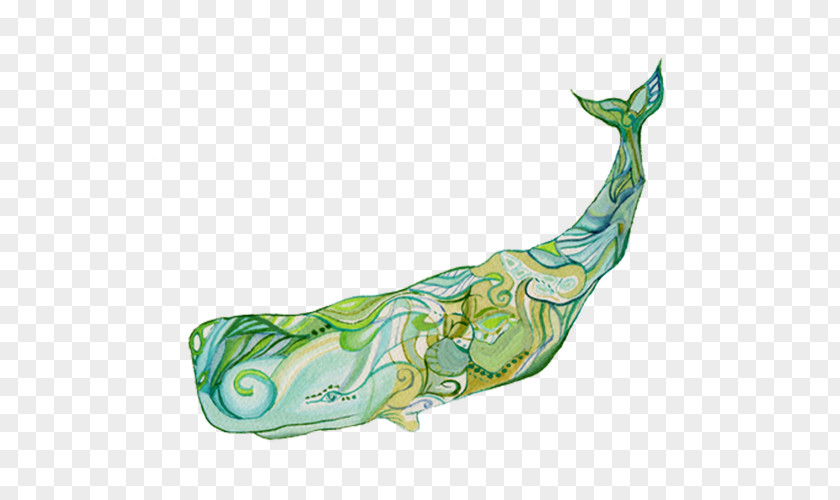 Lemon Whale Right Whales Watercolor Painting Flipper Green PNG