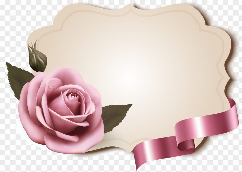 Pink Vector Rose Notes Rosxe9 Paper Label PNG