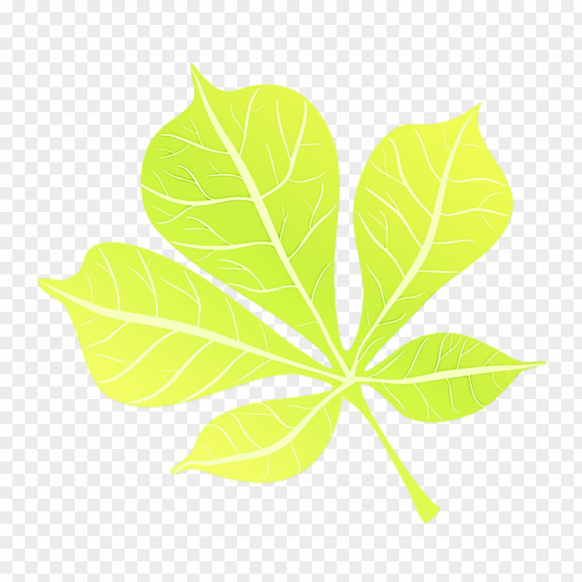 Plant Stem Leaf Mood Board Digital Art Flower PNG