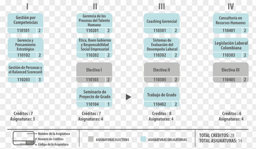 Semester Talent Management Manager Gestión Human Resource PNG