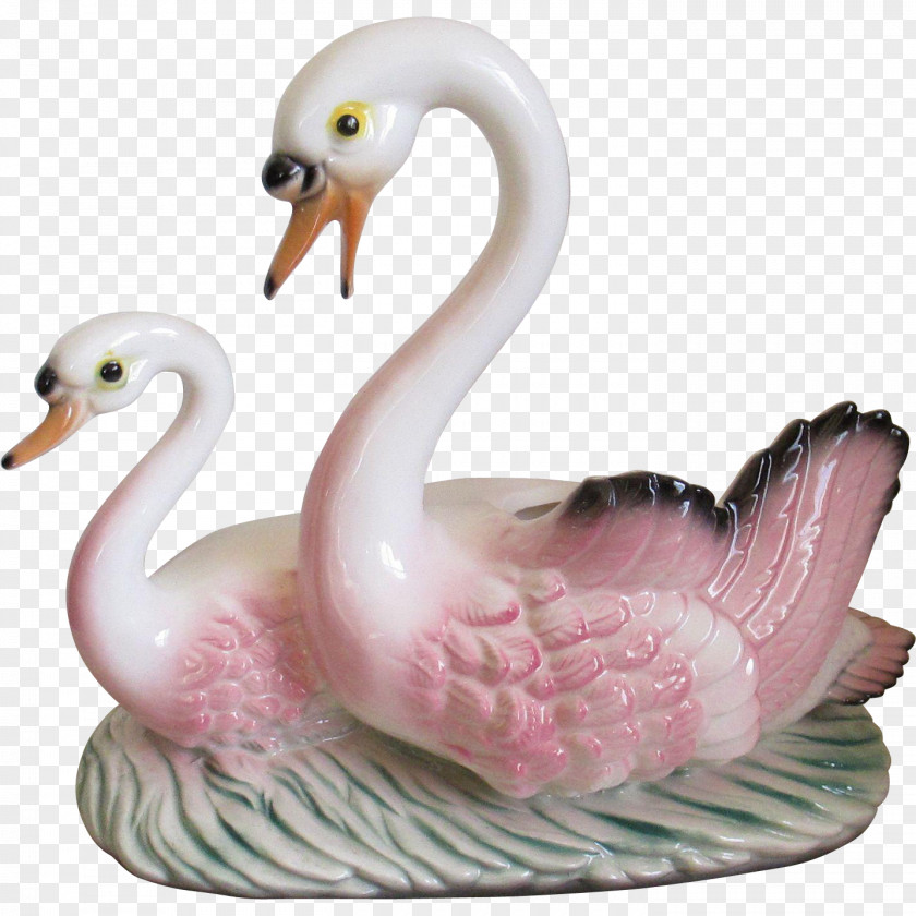Swan 1950s Cygnini Television Light Duck PNG