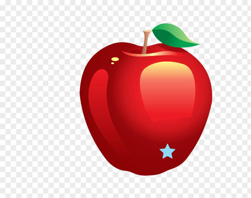 Vector Apple Drawing Art Photography Clip PNG