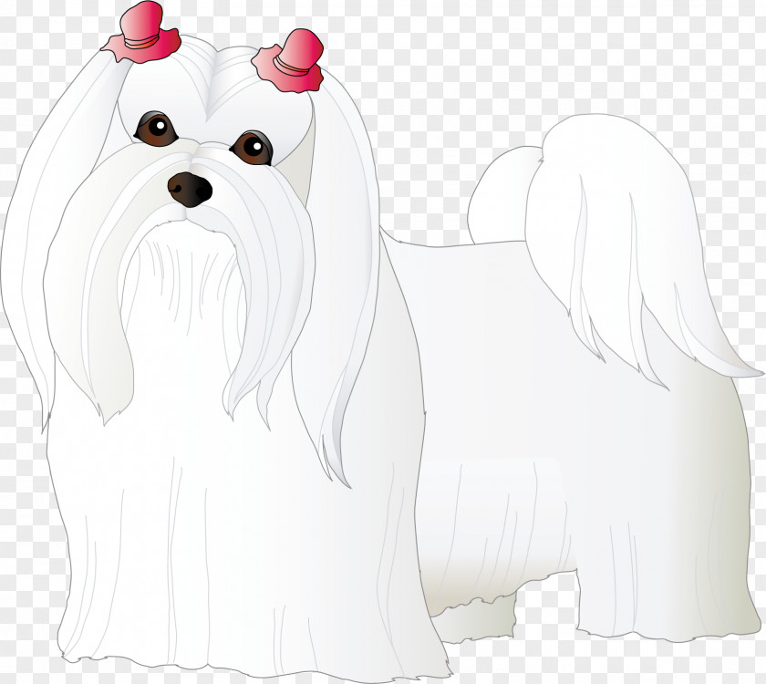 Dog Maltese Puppy Bichon Frise Breed Companion PNG