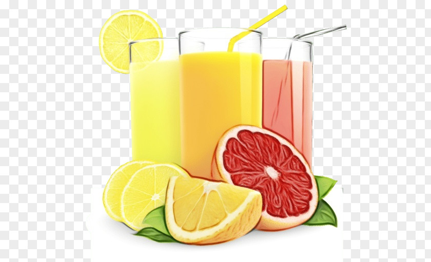 Dukan Diet Health Shake Lime Orange Drink Lemon PNG