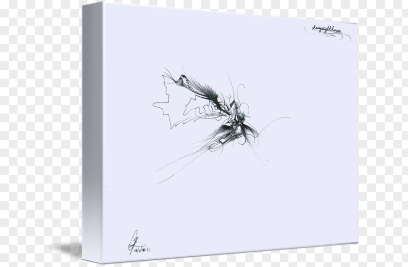 Insect Paper Graphic Design Picture Frames PNG