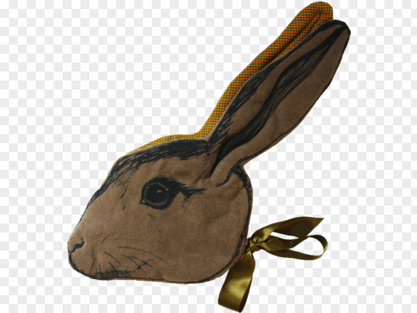 Rabbit Domestic Hare Snout PNG