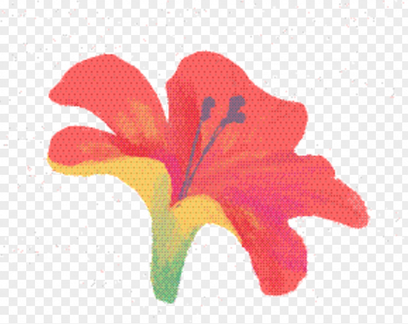 Daylily Mallow Family Pink Flower Cartoon PNG