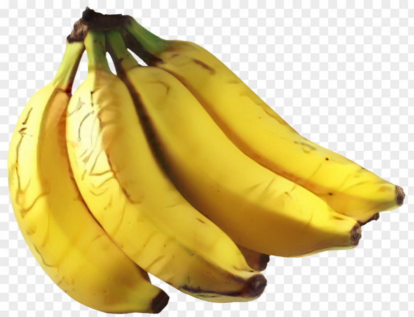 Legume Crop Banana Juice PNG