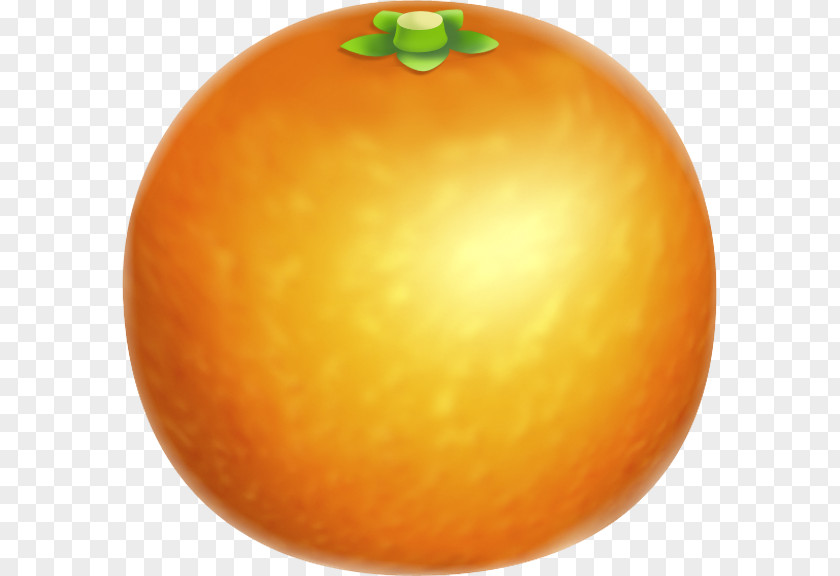 Orange Clementine Tangerine Mandarin Grapefruit PNG