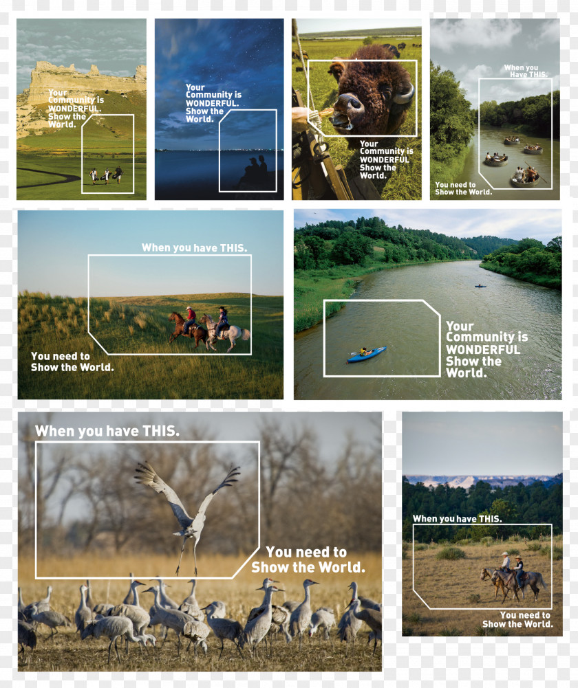 Park Ecoregion Landscape Fauna National Advertising PNG
