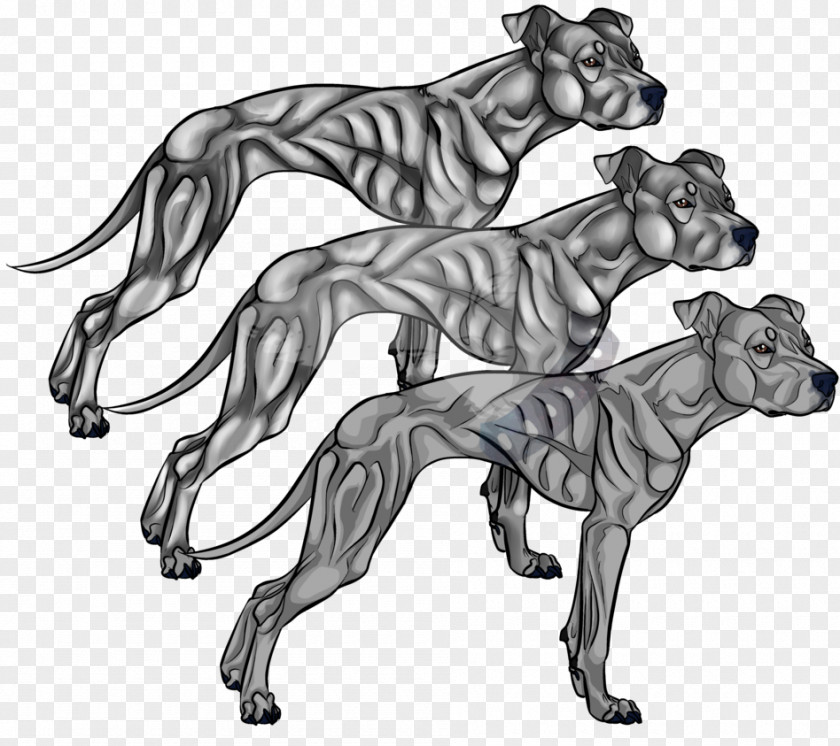 Pitbull American Pit Bull Terrier Line Art Drawing PNG