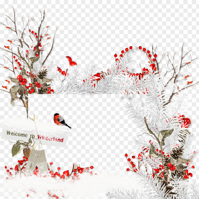Round Frame Christmas Decoration Tree Ornament PNG