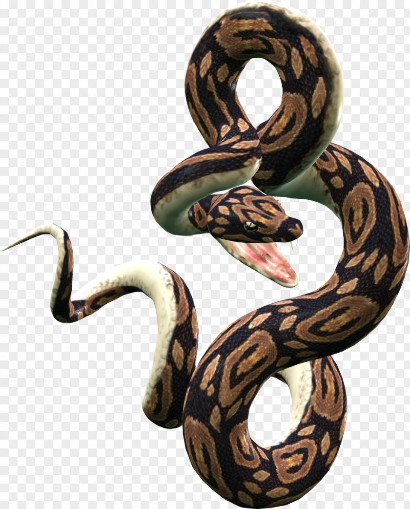 Snakes Snake Reticulated Python Ball Clip Art PNG