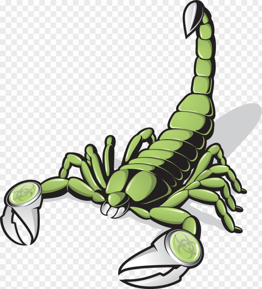 Vector Painted Green Scorpion Clip Art PNG