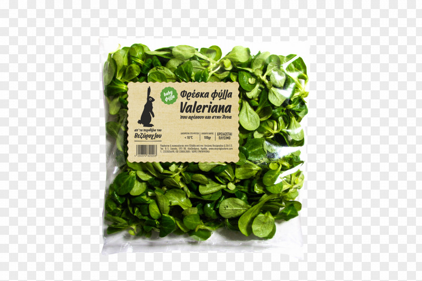 Watercolor Lettuce Veziroglou, A., & SIA E.E. Spring Greens Leaf Vegetable Salad Spinach PNG