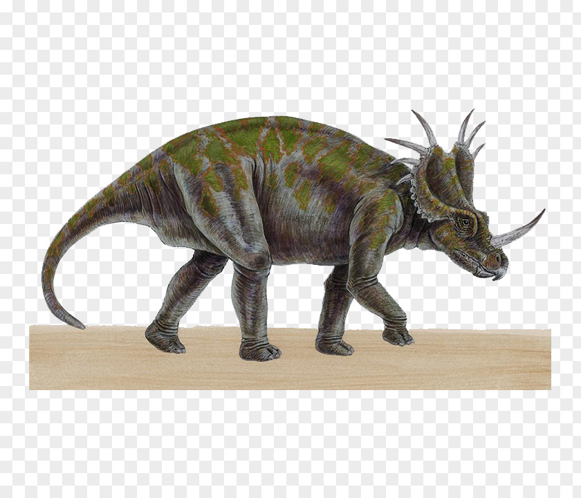 Horned Dinosaur Triceratops Carnotaurus Styracosaurus Reptile Tyrannosaurus Rex PNG