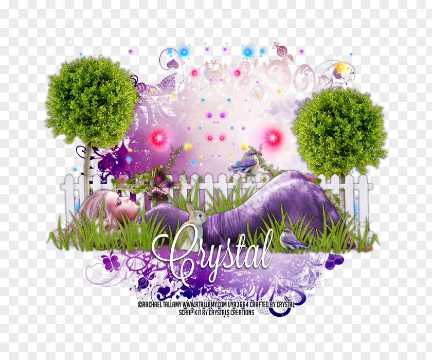 Lazy Day Box Violet Plant Stem Desktop Wallpaper PNG