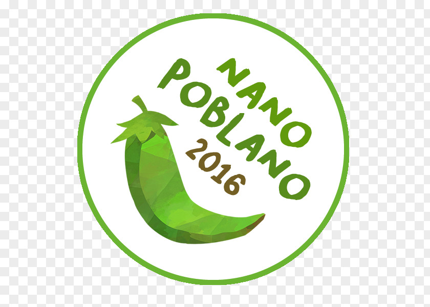 Leaf Logo Poblano Font Brand PNG