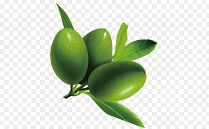 Olives Olive Oil PNG