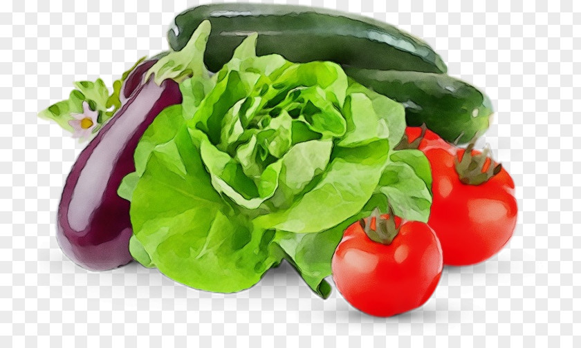 Vegetarian Food Salad PNG