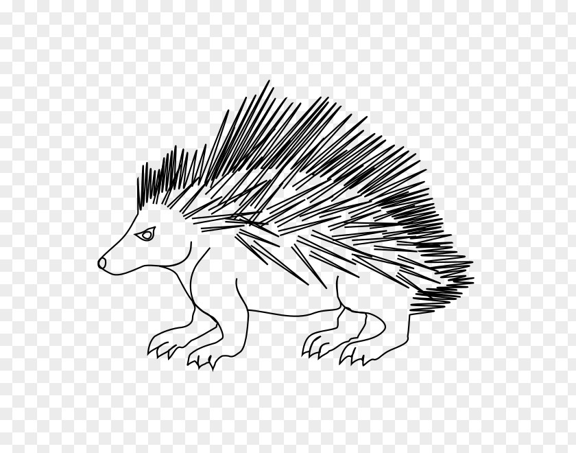 Hedgehog Echidna Porcupine Line Art White PNG