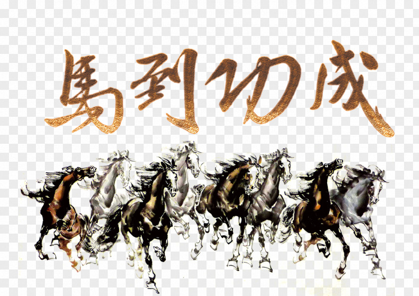 Horse To The Word Of Success PNG