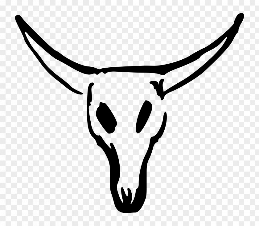Longhorn Texas Skull Clip Art PNG