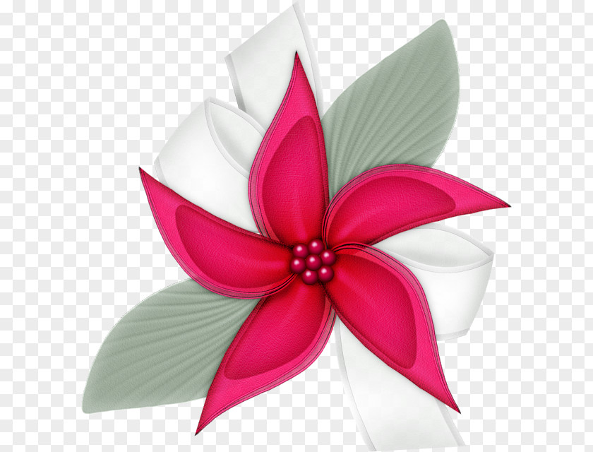 Majestic 12 Second World Cut Flowers PNG