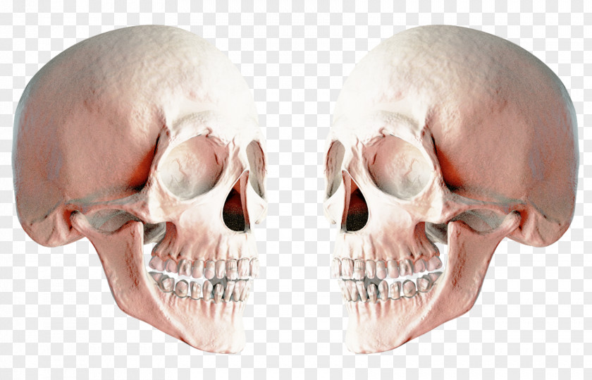 Skull Icon PNG