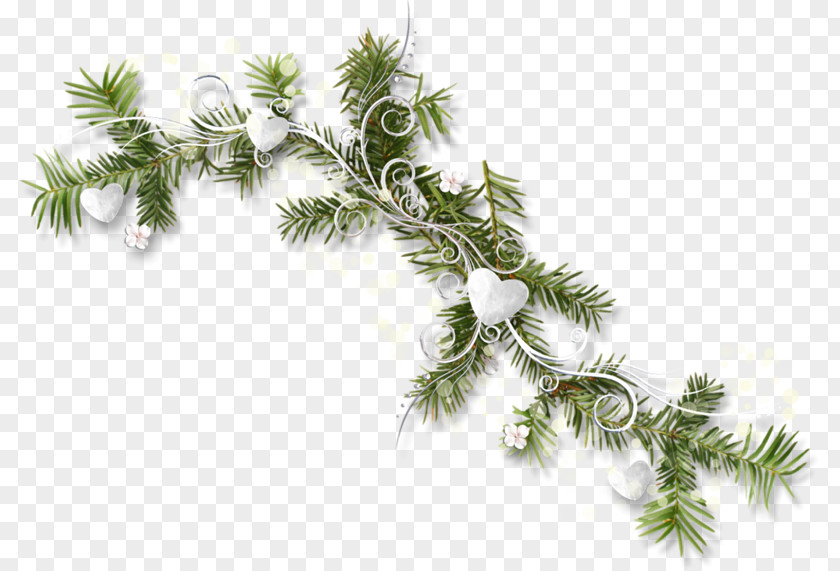 Christmas Tree Ornament Day New Year Spruce PNG