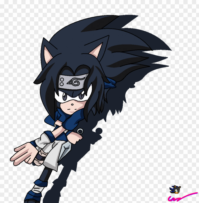 Hedgehog Sasuke Uchiha Shadow The Sonic Extreme Super PNG