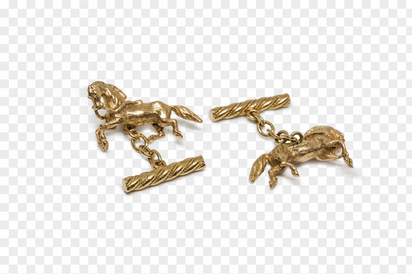 Jewellery Earring 01504 Body Brass PNG