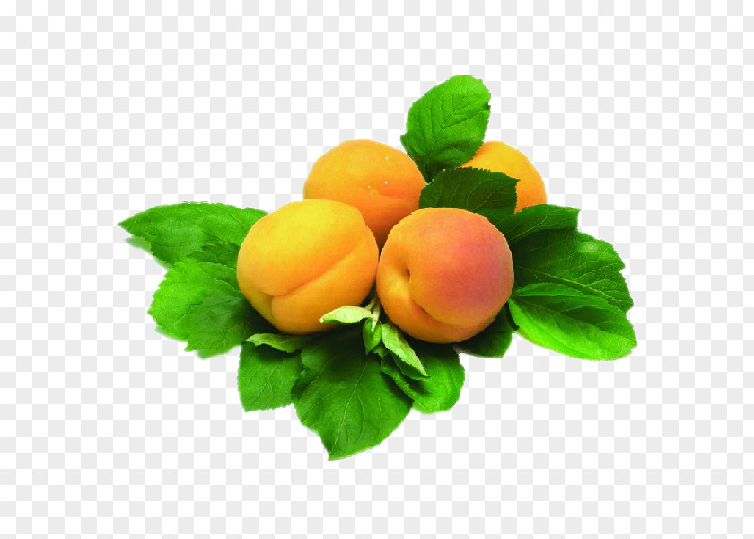 News Flash Juice Armenian Food Apricot Fruit Plum PNG