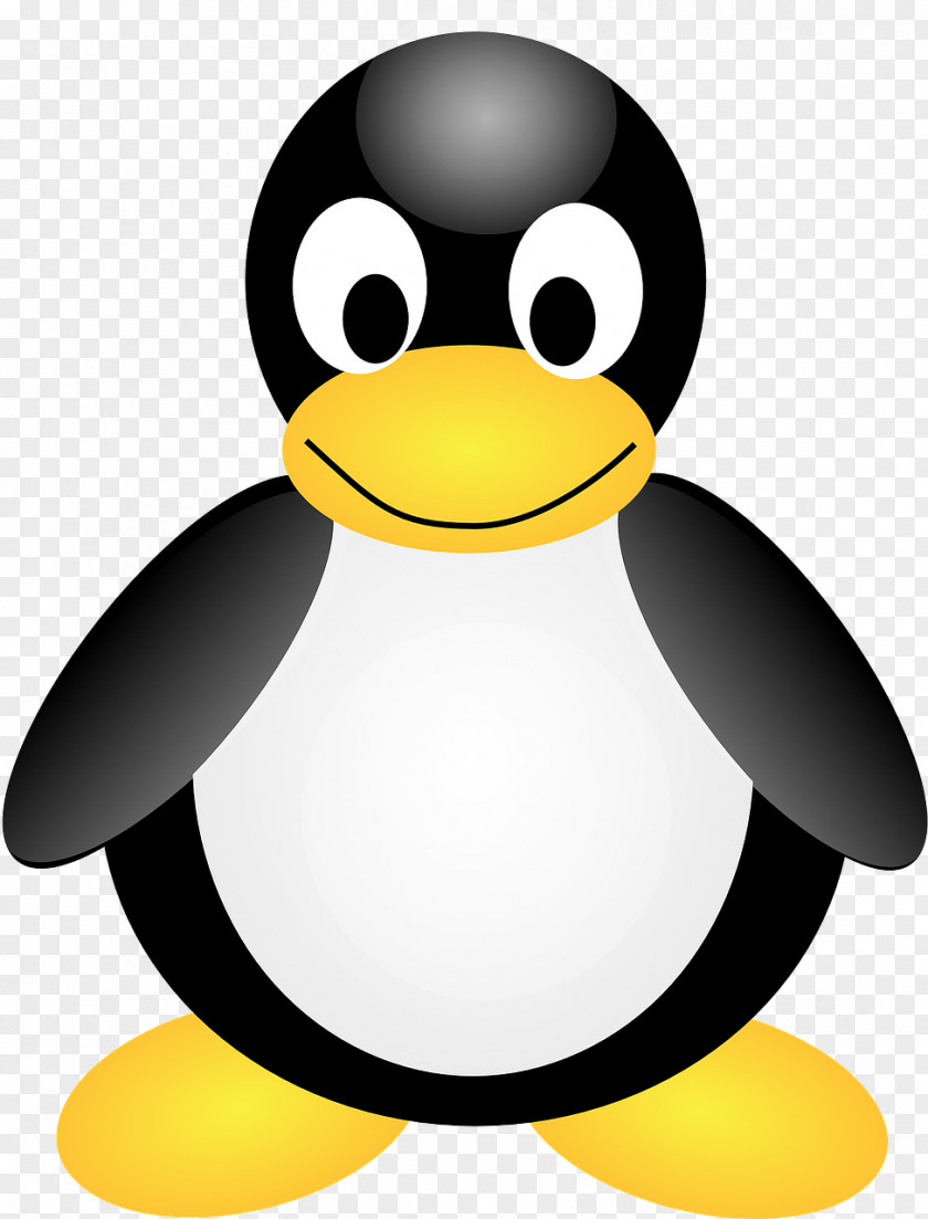 Penguin Tux Clip Art PNG