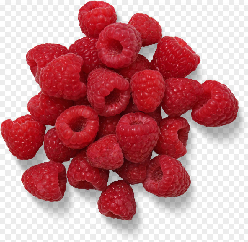 Plant Strawberry PNG