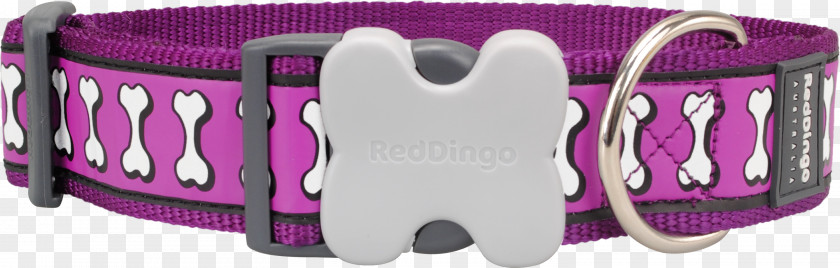 Red Collar Dog D-ring Pet PNG