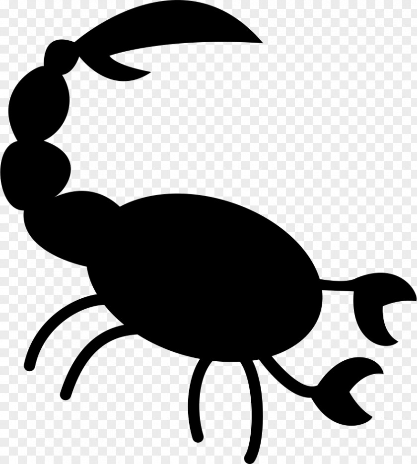 Scorpion Clip Art Vector Graphics PNG