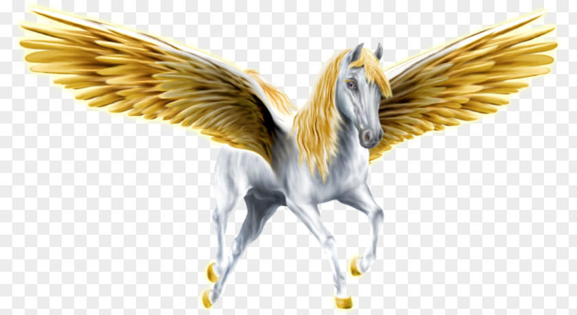 Horse Medusa Pegasus Winged Unicorn PNG